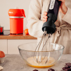 Double whisk stick blender MINIPRO