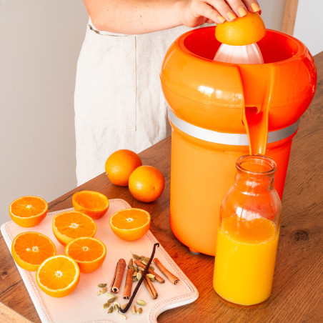 Electric citrus juicer